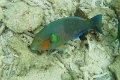 IMG_2095 (2)